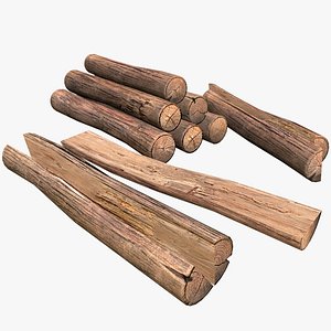 3D Firewood Logs