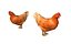 chicken rigged animations 3D