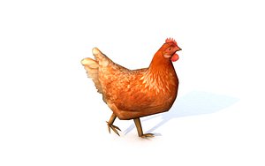 Chicken rigged animated lowpoly