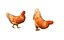 chicken rigged animations 3D