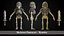 Stylized Skeleton Characters Pack