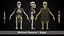 Stylized Skeleton Characters Pack