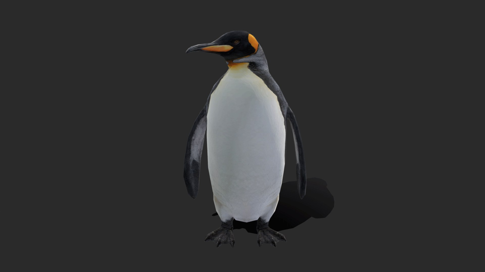 3D penguin king https://p.turbosquid.com/ts-thumb/X1/2Jx5TG/JQ/kingpenguin_0017_layer3/png/1715600330/1920x1080/fit_q87/8e5ea26cc1fc0ac153fda615da394ea9d9f2f76b/kingpenguin_0017_layer3.jpg