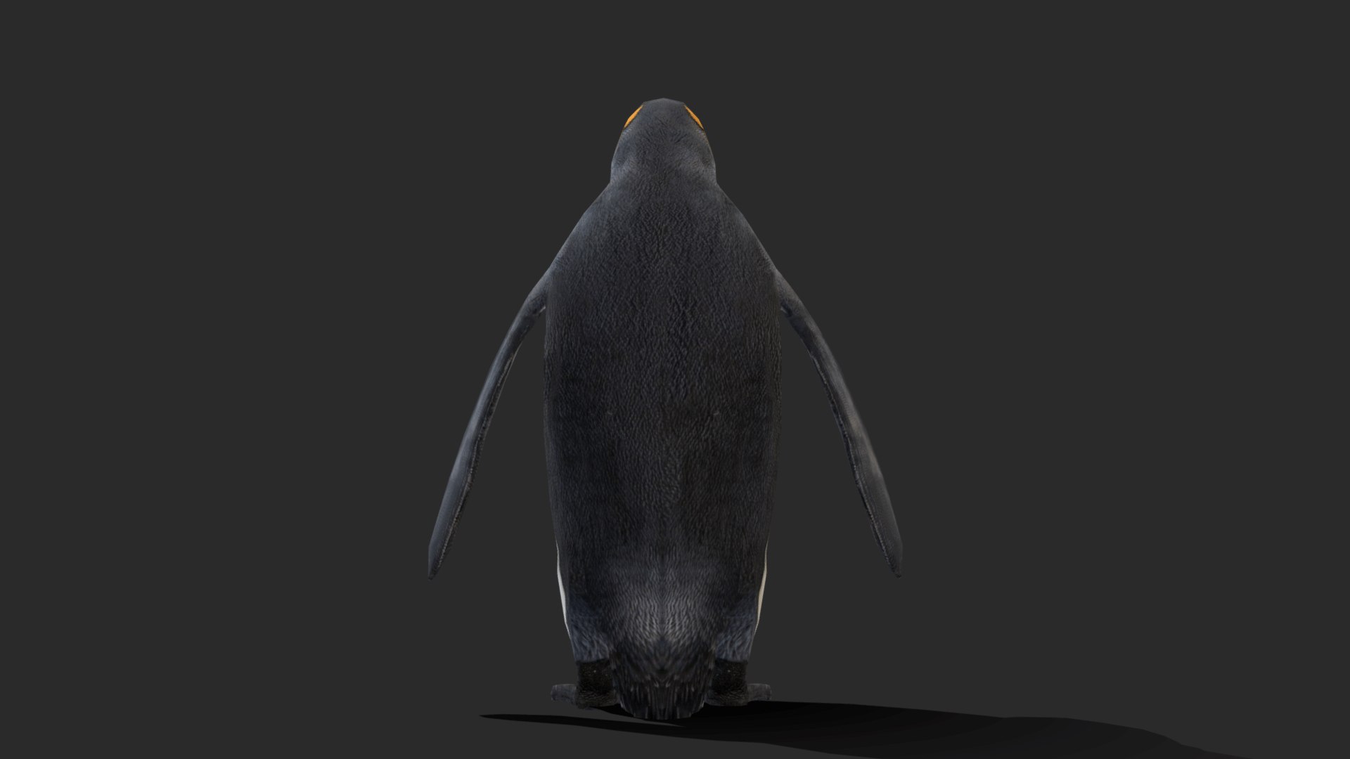 3D penguin king https://p.turbosquid.com/ts-thumb/X1/2Jx5TG/pS/kingpenguin_0003_layer17/png/1715600319/1920x1080/fit_q87/a00854f12fa0063be3eaa887f09aecc085ac26a1/kingpenguin_0003_layer17.jpg
