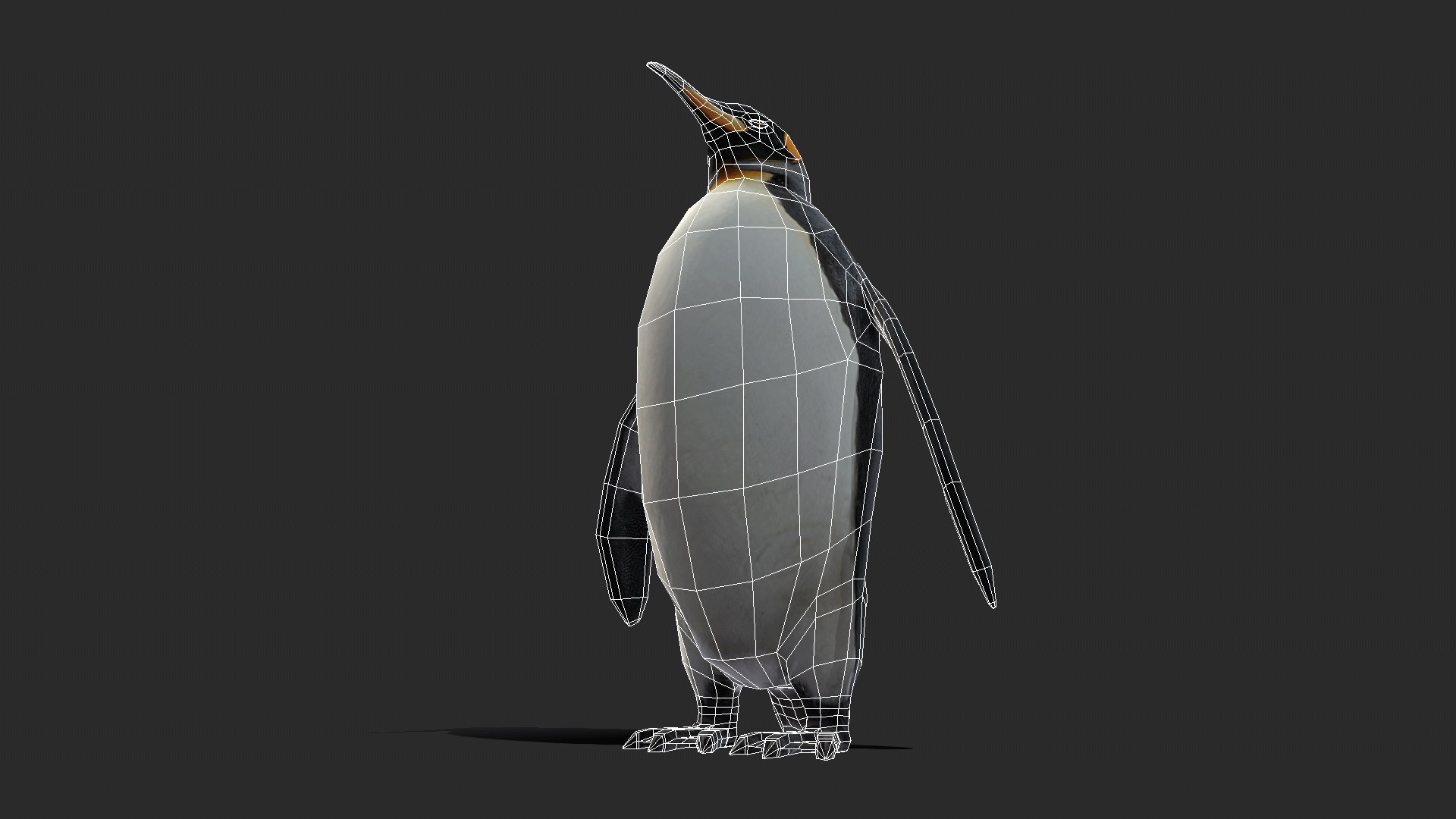 3D penguin king https://p.turbosquid.com/ts-thumb/X1/2Jx5TG/tw/kingpenguin_0012_layer8/png/1715600327/1920x1080/fit_q87/50402647d36c39d4d7f3896b08b4a4b6a04d5a9f/kingpenguin_0012_layer8.jpg