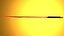 Ninja Sword