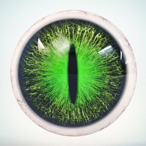 3D eye chart - TurboSquid 1513681