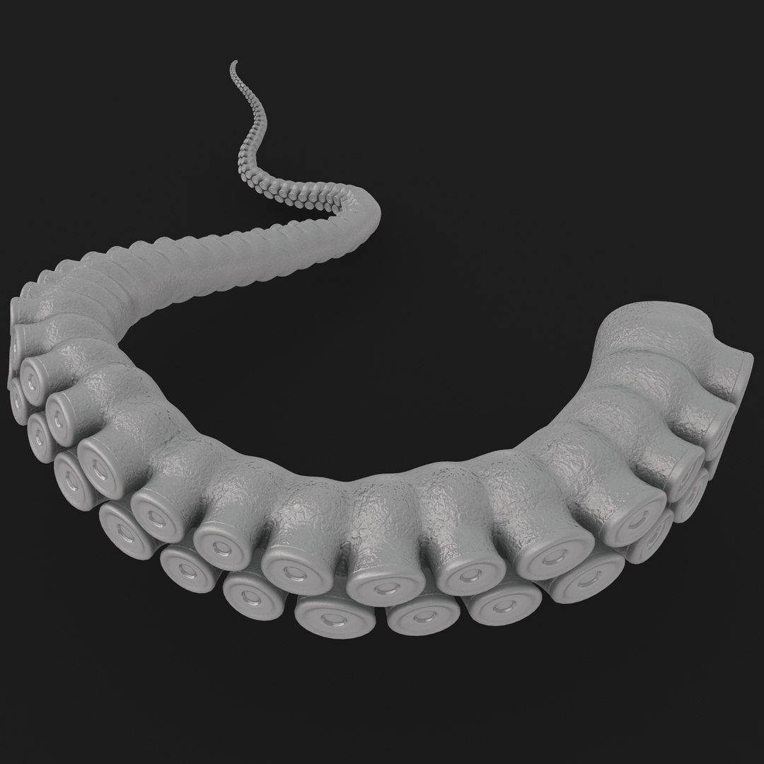 Octopus Tentacle 3D Model - TurboSquid 1583792