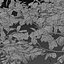 Conjunto de Robinia Pseudoacacia Frisia ou Frisia Black Locust Tree - 2 Árvores