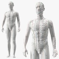 Male Acupuncture Mannequin