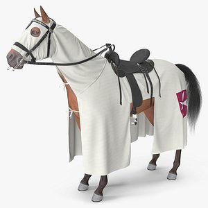 3D Crusader Horse Armor Fur model