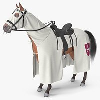 Crusader Horse Armor Fur