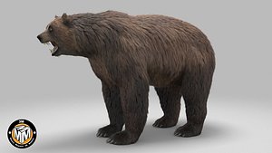3D arctotherium bear