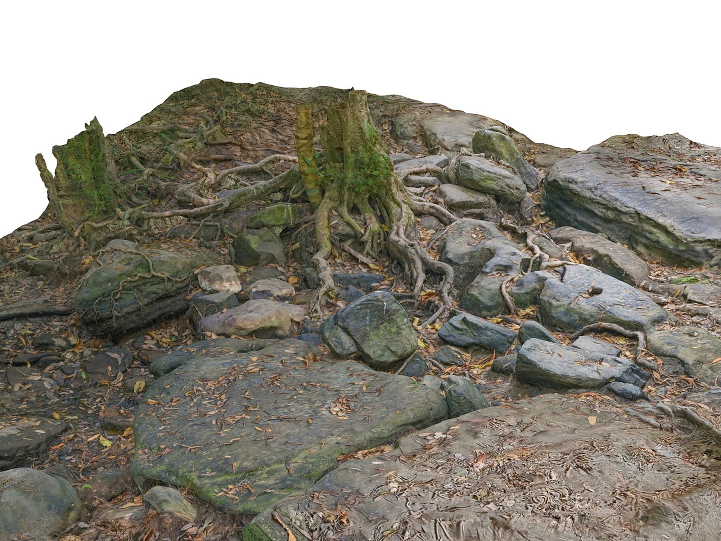 3D Jungle Rock Ground Model - TurboSquid 2278986