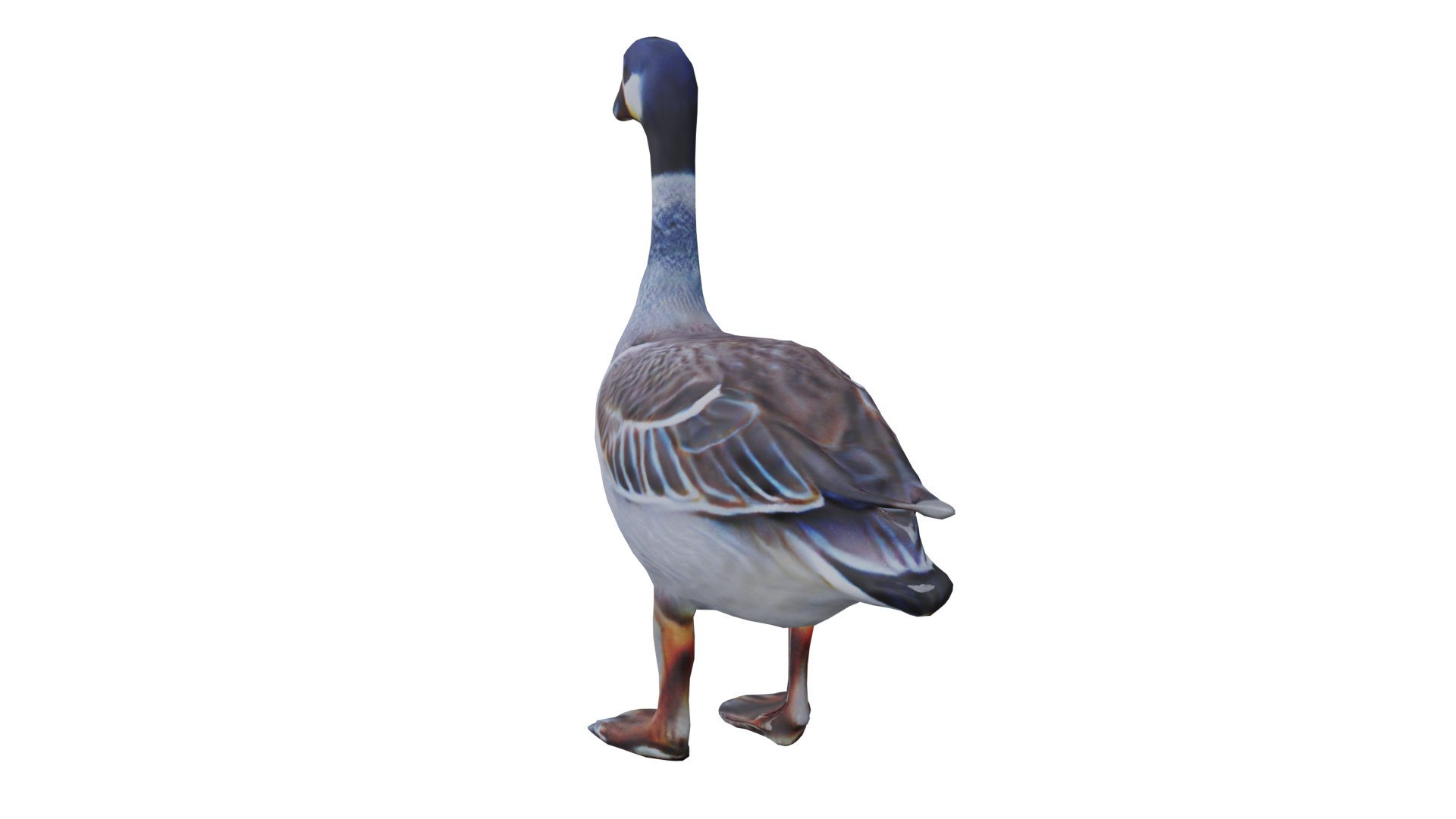 Realistic Goose Low Poly 3D - TurboSquid 2261630