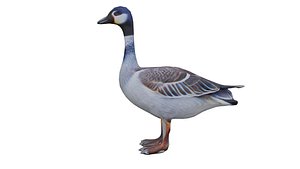 Realistic Goose low poly 3D