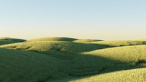 Realistic Nature field with grass