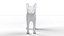 Fur Calico Cat V04 Rigged and Animated