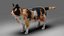 Fur Calico Cat V04 Rigged and Animated