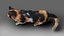 Fur Calico Cat V04 Rigged and Animated