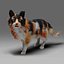 Fur Calico Cat V04 Rigged and Animated