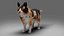 Fur Calico Cat V04 Rigged and Animated
