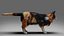 Fur Calico Cat V04 Rigged and Animated