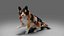 Fur Calico Cat V04 Rigged and Animated