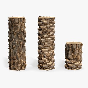 3D Canary palm PBR tiled materials 8K model