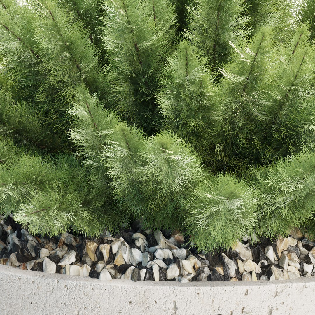 3D Premium Indoor &amp; Outdoor Plant Collection Bundle 100 https://p.turbosquid.com/ts-thumb/X2/R6iYn3/I5/15/jpg/1785254817/1920x1080/fit_q87/137a1c9ca30696a306b8380408b8ab222879113d/15.jpg