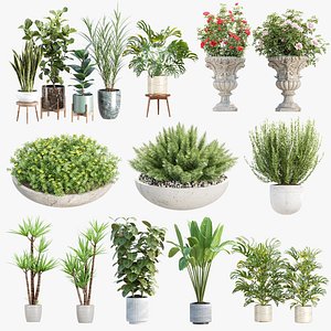 3D Premium Indoor &amp; Outdoor Plant Collection Bundle 100