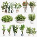 プレミアム屋内・屋外植物コレクションバンドル100