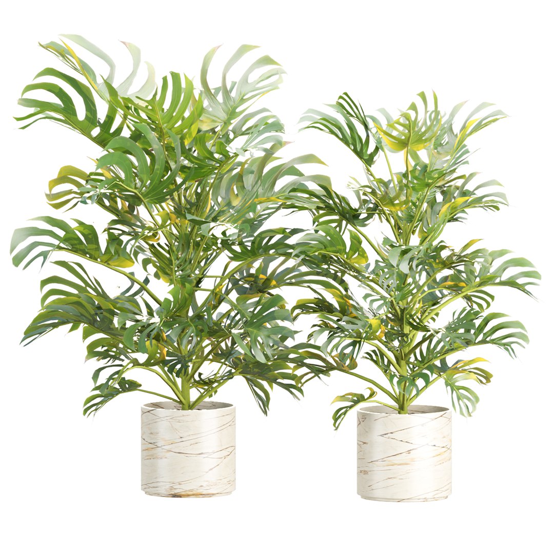 3D Premium Indoor &amp; Outdoor Plant Collection Bundle 100 https://p.turbosquid.com/ts-thumb/X2/R6iYn3/M8/11/jpg/1785254816/1920x1080/fit_q87/0598ae40b12edb635ca4005612793bd8f184980d/11.jpg