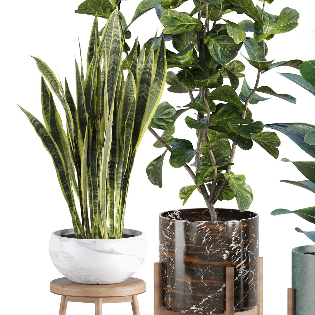 3D Premium Indoor &amp; Outdoor Plant Collection Bundle 100 https://p.turbosquid.com/ts-thumb/X2/R6iYn3/Oy/08/jpg/1785254814/1920x1080/fit_q87/99d5fa5c666f4772f26bcdc8d3f0268b514dd766/08.jpg