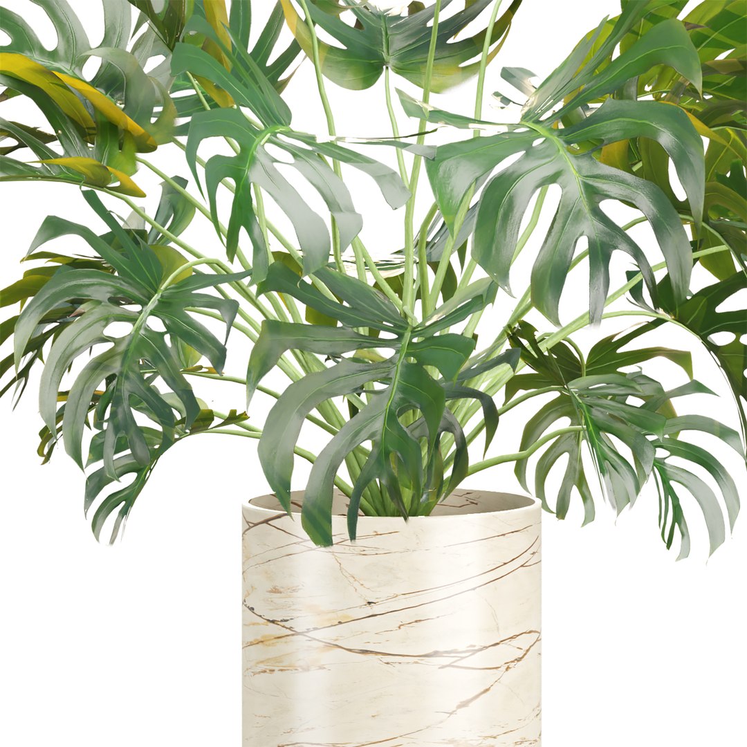 3D Premium Indoor &amp; Outdoor Plant Collection Bundle 100 https://p.turbosquid.com/ts-thumb/X2/R6iYn3/S3/13/jpg/1785254816/1920x1080/fit_q87/4232352022ca19edbfd6b2b7db5fcd67d3580099/13.jpg