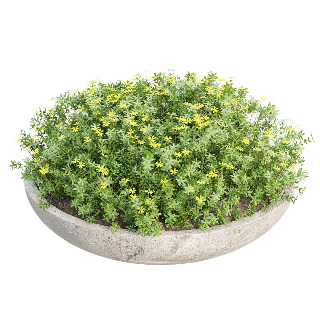 3D Premium Indoor &amp; Outdoor Plant Collection Bundle 100 https://p.turbosquid.com/ts-thumb/X2/R6iYn3/UN/16/jpg/1785254818/1920x1080/fit_q87/1029d988faa393c93c82d36e8b38dd7c417ad27b/16.jpg