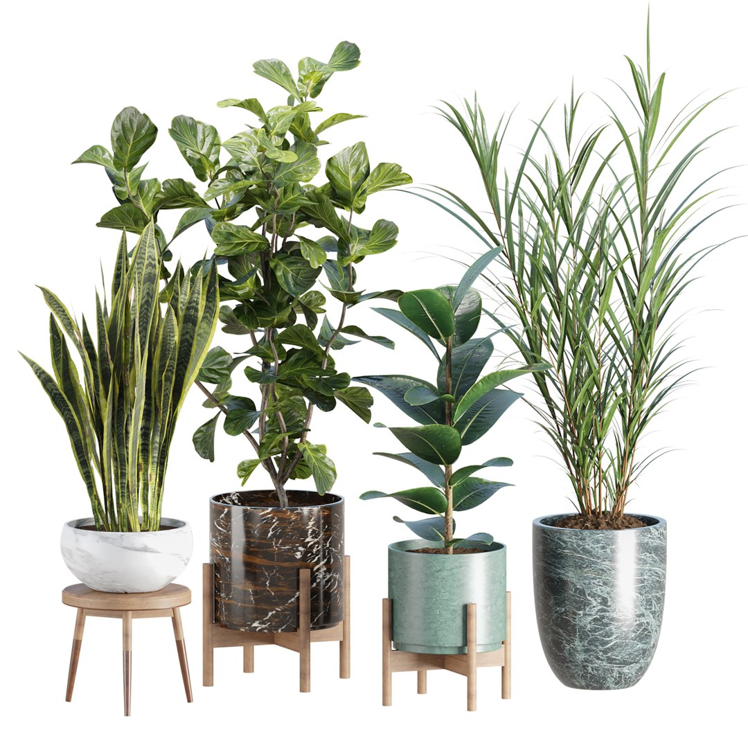 3D Premium Indoor &amp; Outdoor Plant Collection Bundle 100 https://p.turbosquid.com/ts-thumb/X2/R6iYn3/hf/07/jpg/1785254813/1920x1080/fit_q87/baba6c0d5ae55e71e576e803f989285665404516/07.jpg