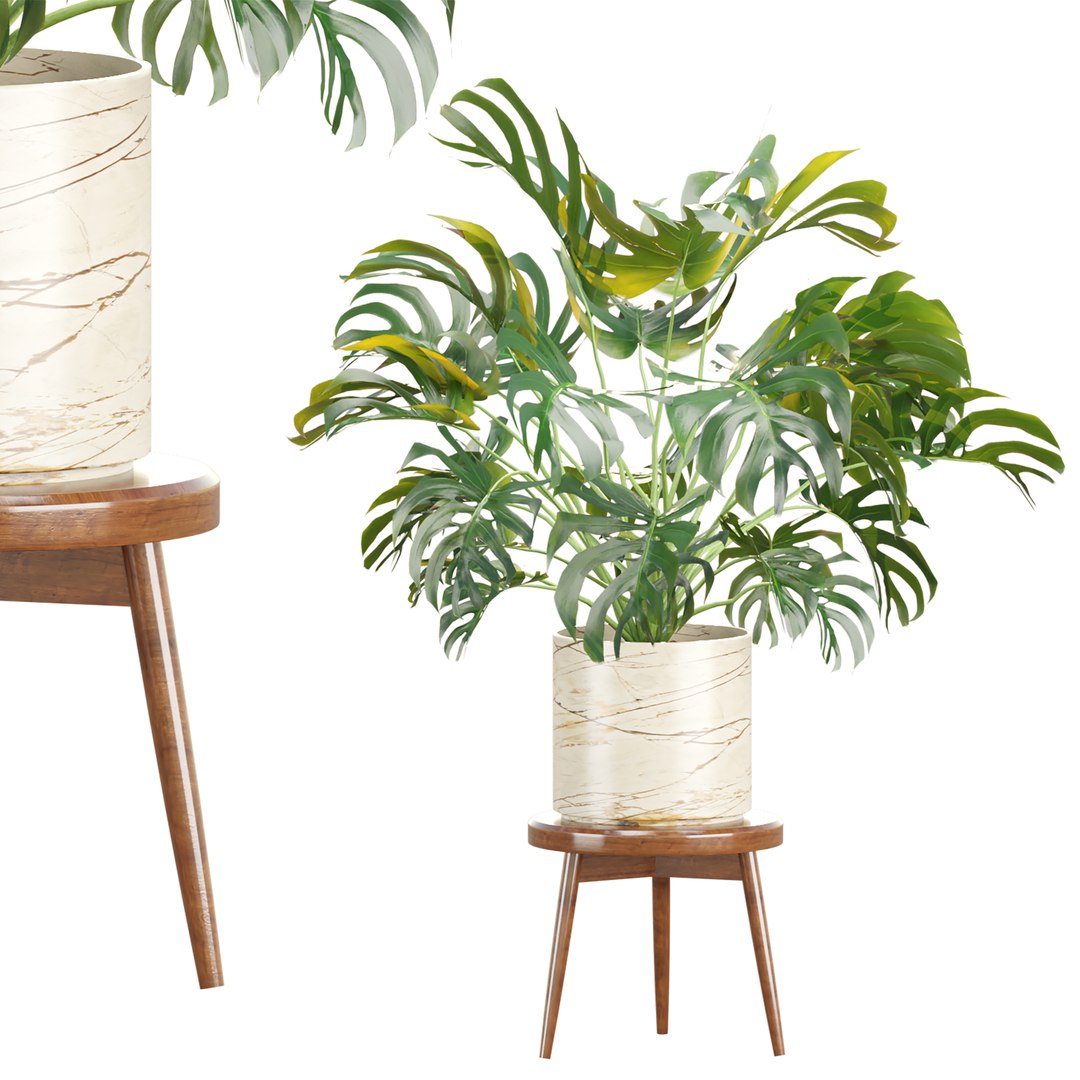 3D Premium Indoor &amp; Outdoor Plant Collection Bundle 100 https://p.turbosquid.com/ts-thumb/X2/R6iYn3/jj/12/jpg/1785254816/1920x1080/fit_q87/e57b59969abce21448e996dc38c962b28cb3a359/12.jpg
