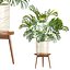 プレミアム屋内・屋外植物コレクションバンドル100