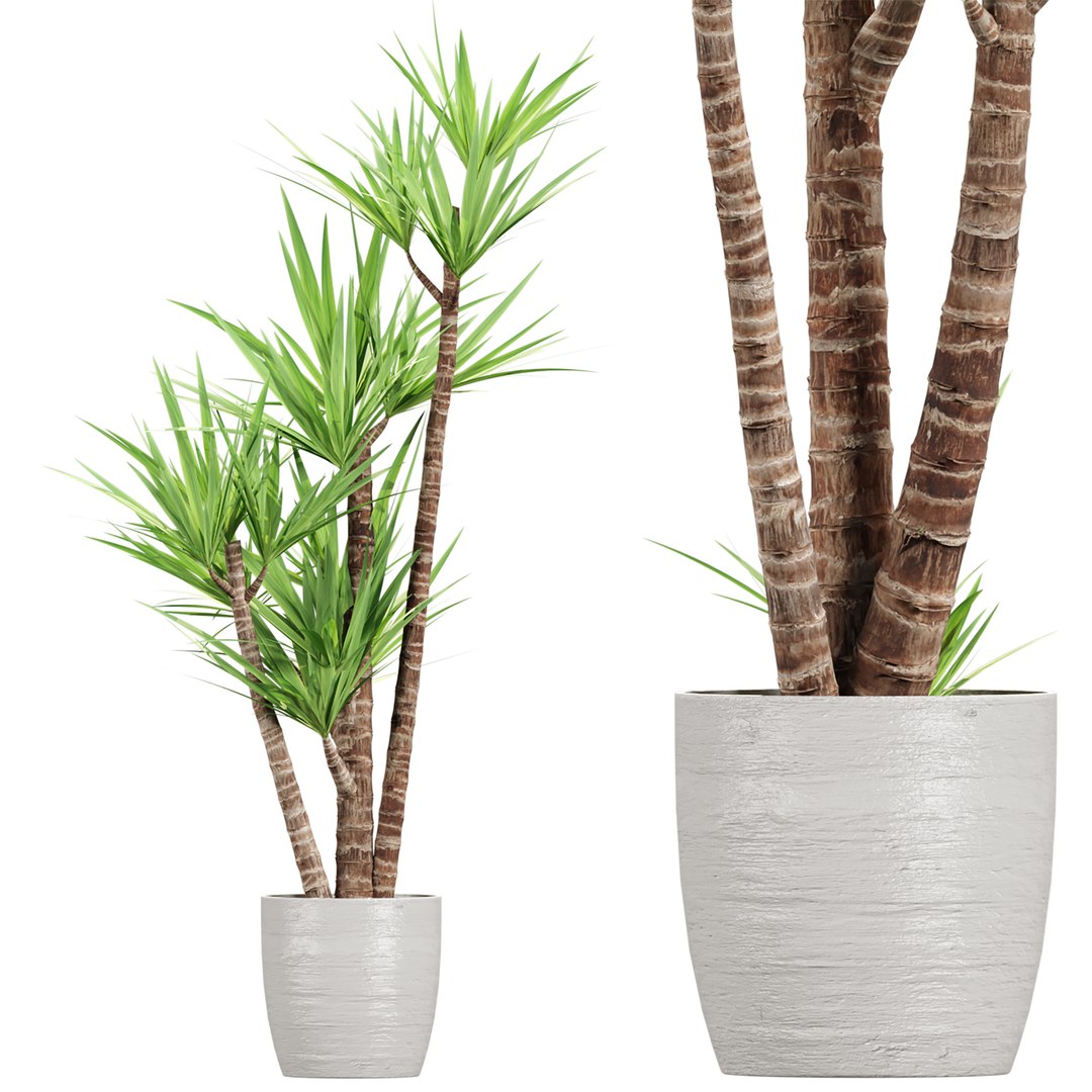 3D Premium Indoor &amp; Outdoor Plant Collection Bundle 100 https://p.turbosquid.com/ts-thumb/X2/R6iYn3/rP/10/jpg/1785254815/1920x1080/fit_q87/d2023aabcfd1f11b383b26fe62b8aa7acf4adce0/10.jpg