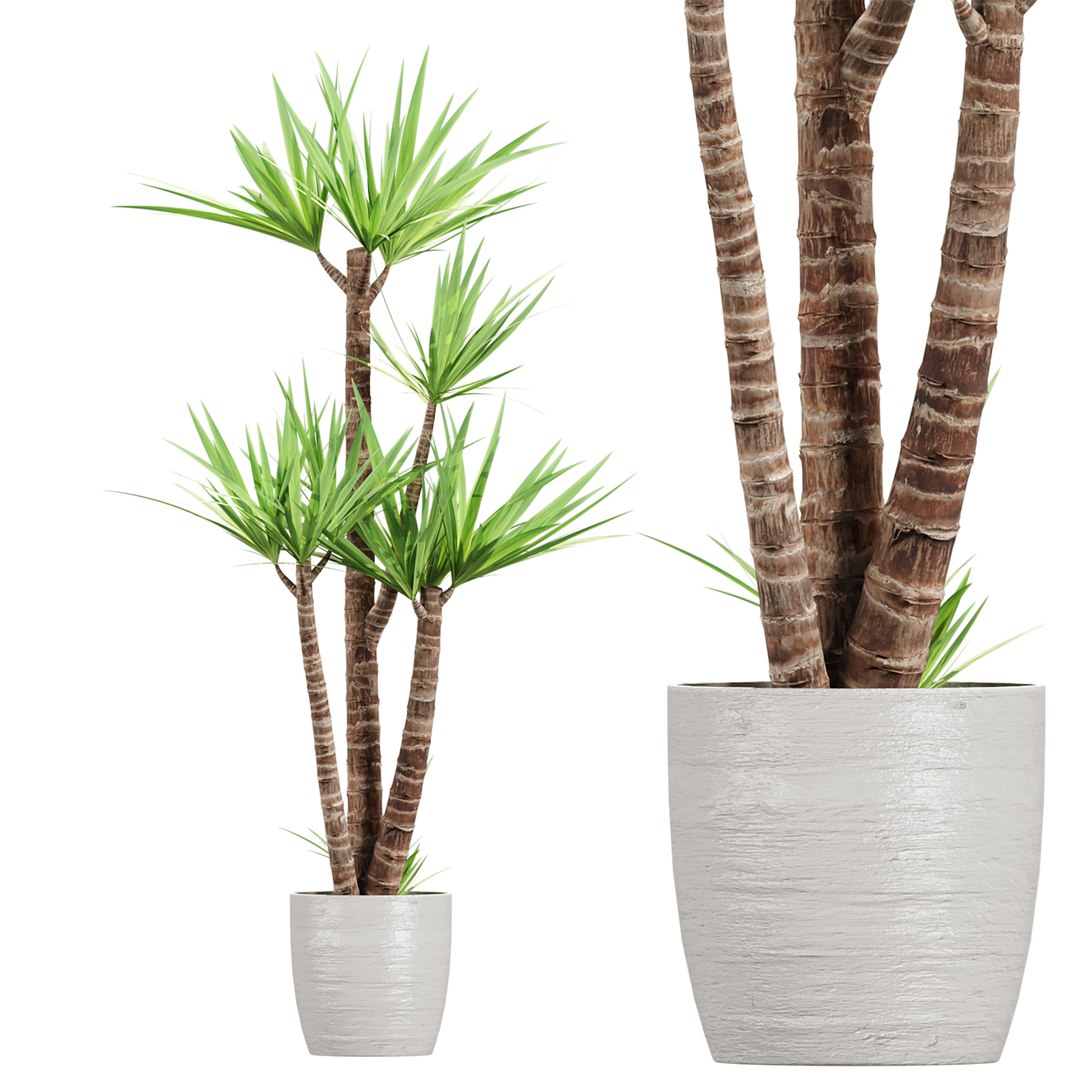 3D Premium Indoor &amp; Outdoor Plant Collection Bundle 100 https://p.turbosquid.com/ts-thumb/X2/R6iYn3/tS/09/jpg/1785254814/1920x1080/fit_q87/2dd7ef244df491be86a501e6fc356e184d697276/09.jpg