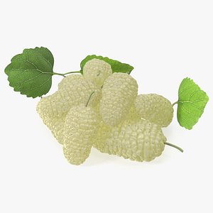 3D Pile of Mulberry Fruit White model