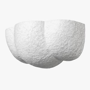 3D model Pierre Augustin Rose sconce Eole