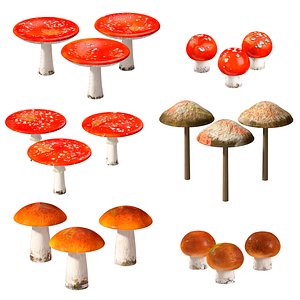 Mushrooms Set 3D model