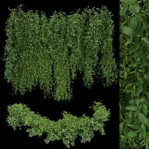 3D Collection plant vol 165