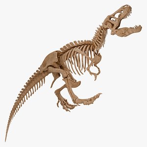3D yrannosaurus Rex Skeleton 02 model