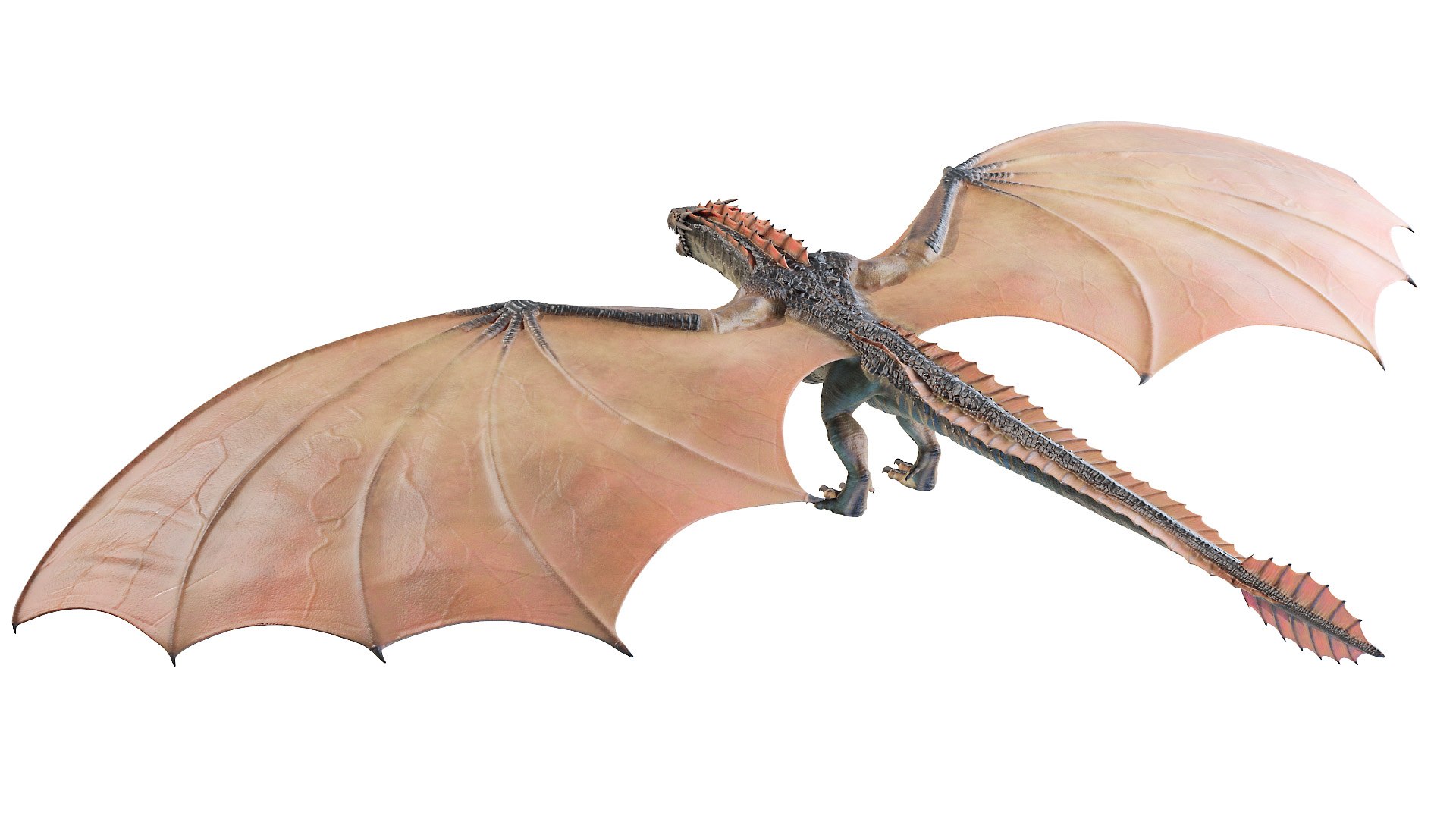 Dragon wyvern 3D - TurboSquid 1632256