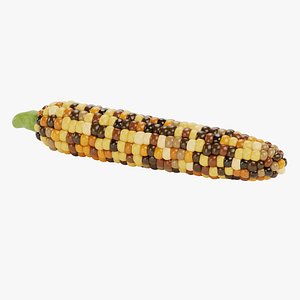 Corn 5 - Flint 3D