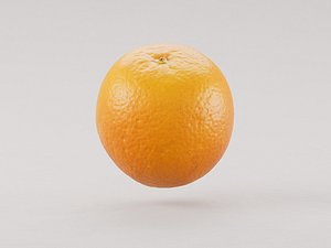 Orange fruit 3d model 3D model