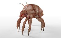 Dust Mite Insect Rigged